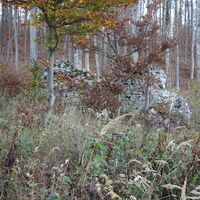 Abstieg am unmarkierten Steig