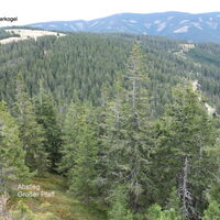 Ausblick zum Harterkogel