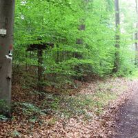 Salzgitter Höhenzug, Wanderweg 30 auf Ernst-Oppermann-Weg