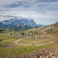 Col Margherita - Passo San Pellegrino - ©Archivio APT Val di Fassa