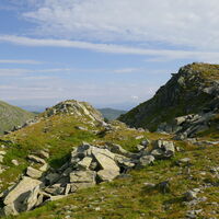 kein Schneehuhn auszumachen