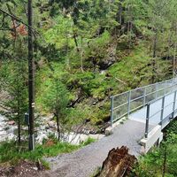 Der schöne Weg nach Wiesen