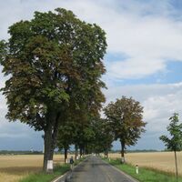 Krems - Fels am Wagram