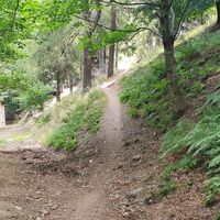 7.7 km Single rechts hinauf zum Bocchetta di Molino