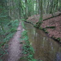 Heidenwuhr