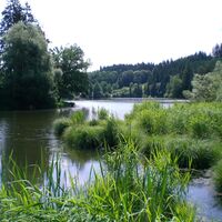 Moosburger Teiche