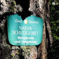 Naturschutzgebiet rund um den Wolayersee
