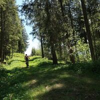 Rückweg zur Wasserscheide - Gantrisch Bike-Panoramaweg