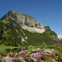 Rubihorn mit kleiner Blütenpracht