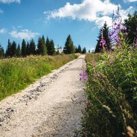 Wandern auf der Weinebene