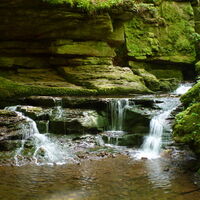Wasserfall im Monbachtal
