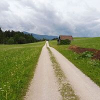 zurück über herrliche Schotterwege...