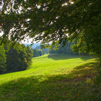 Moosalbwanderweg