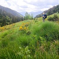 Bear Pass, Nationalpark Rila