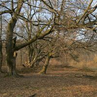 Heuberg und Jubiläumswarte