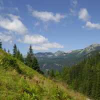 steil gehts über die Wiese bergan