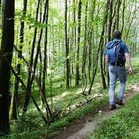 Talsperrenweg Erlebnisweg Sieg