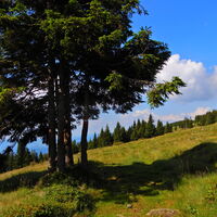 Hochwechsel - Vorau