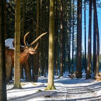 Moorwaldweg