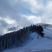 Schneeschuhtrail Obergurnigel (114)