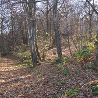 Beginn des Weges zu Rocche Finestre