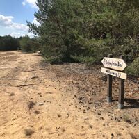 Ein Teil der Tour führt am "Grünen Band" entlang.