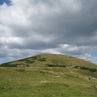 Hinternaßwald - Grenzriegel - Amaißbichl