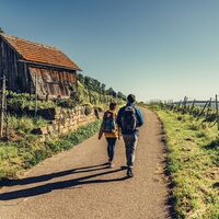 DSGVO NT Heilbronn Wartberg Wandern 03