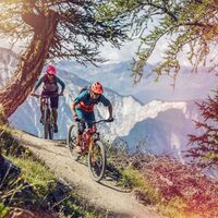 Panorama von einem Singletrail des Torrenttrails