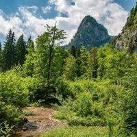 Weißenbachl Ursprung