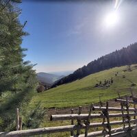 Aussicht vom Eibisberg_Naturpark Almenland_Oststeiermark