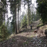 am Weg in das Tal Rio della Malga