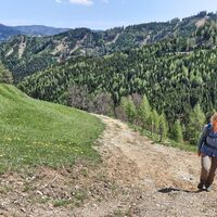 Wir wandern über Forststraßen