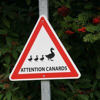 Dargnies_Schild-Enten©ADRT80-DR