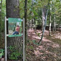 Station am Waldbadepfad Assamstadt