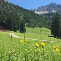 Natur pur im Gemsteltal