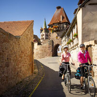 Radweg Weinberg Elsass - Châtenois