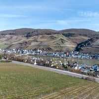 Moselsteigblick auf Zell