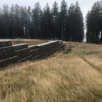 Wildbrücke