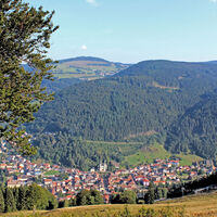 Blick über Todtnau