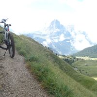 Singletrail