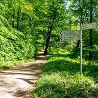 Seifersdorfer Tal