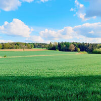 Weitblick über Acker- und Waldlandschaft bei Addenstorf