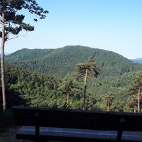 Auf dem Weg zum Waldhaus Drei Buchen