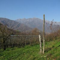 Obstgärten bei der Sammelstelle von San Bernardo