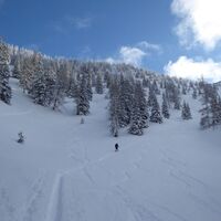 blick-hinauf-durch-den-sautrog-ii-richtung-suedosten-