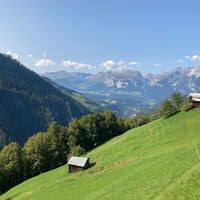 Saftige Heuwiesen und Bergpanorama im unteren Safiental