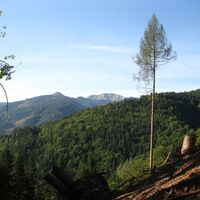 Von Radmer zum Hartelsgraben