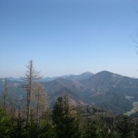 Türnitzer Höger