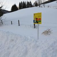 Pieps (LVS) Checker Station am Ausgangspunkt Rossback (Parkplatz) 